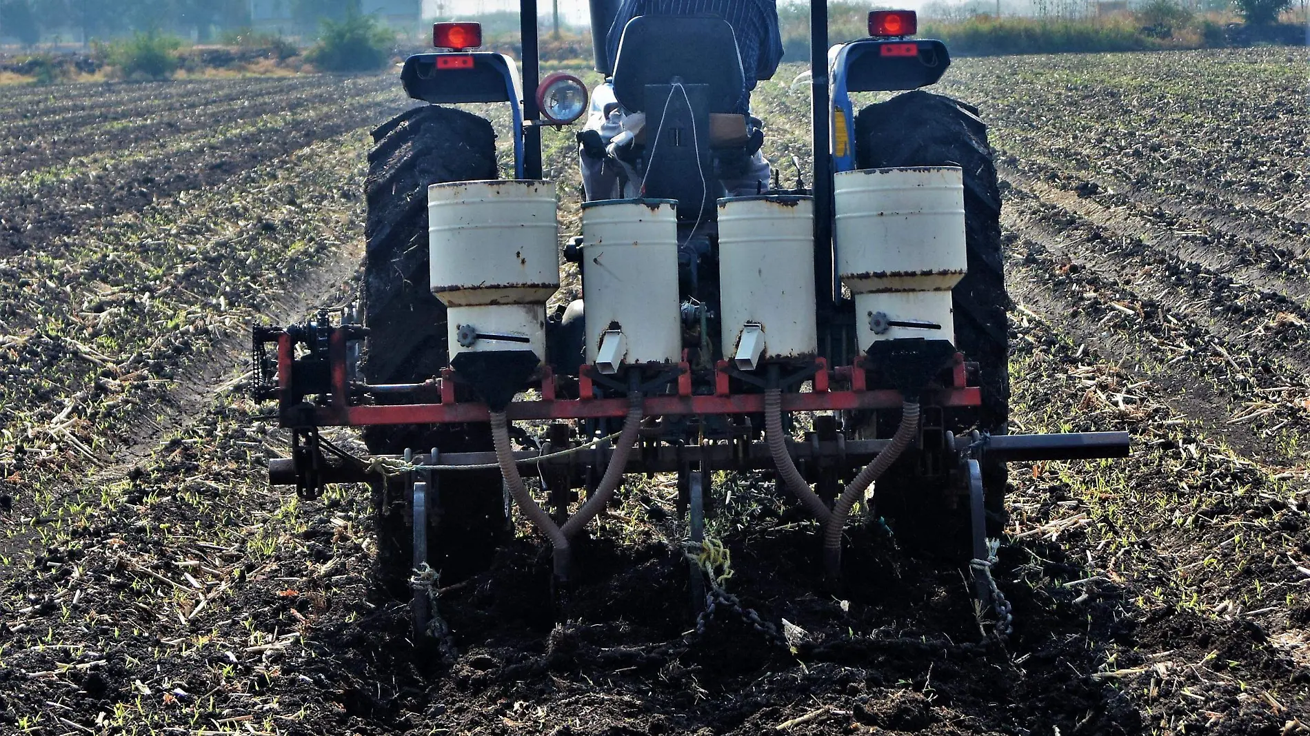 agricultores  (1)